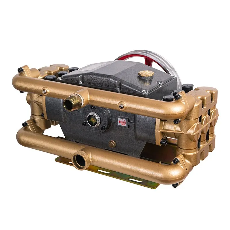 High-flow Water Delivery Spray Special Plunger Pump (6 Plungers)